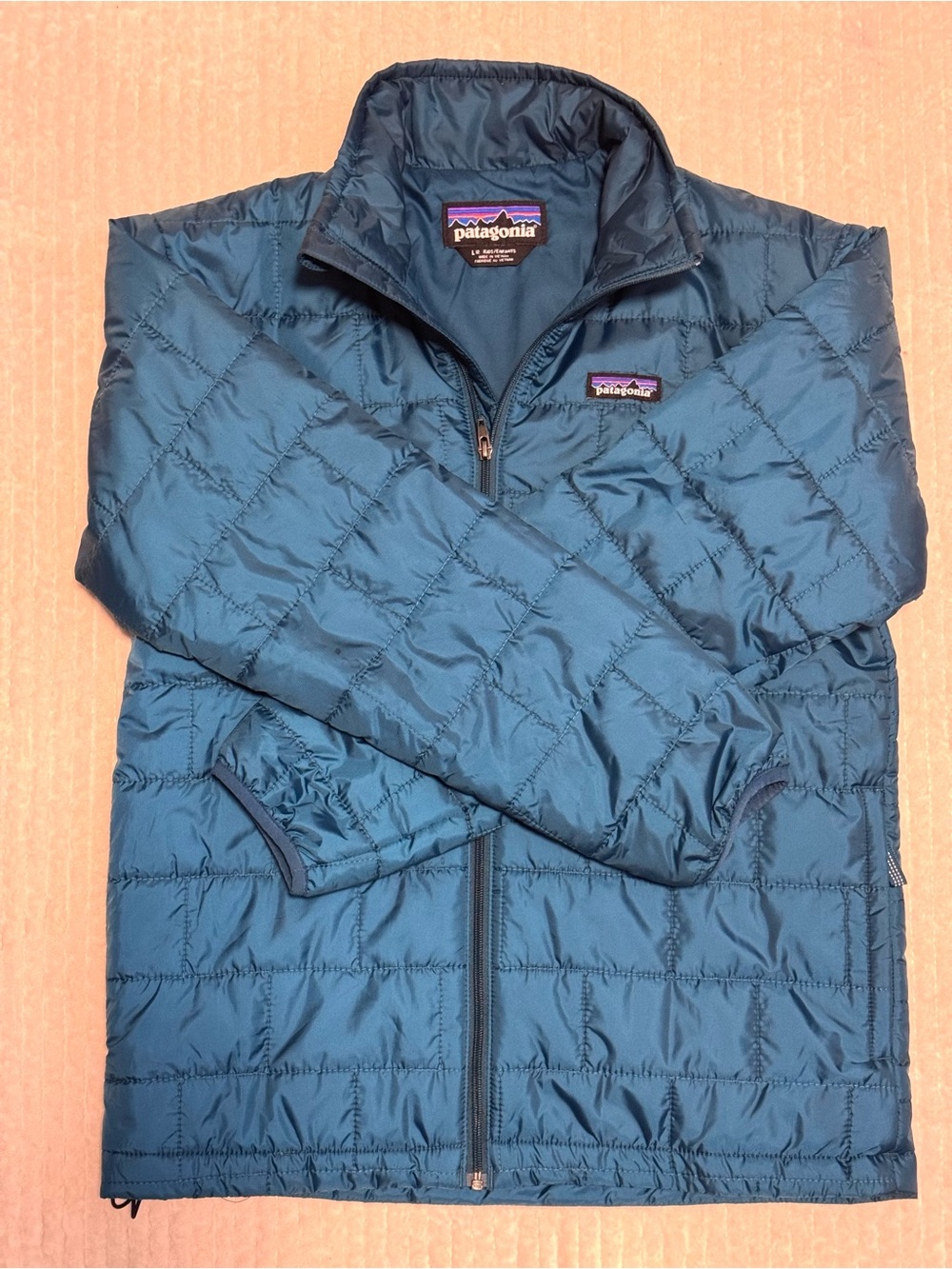 Patagonia Kids Nano Puff Jacket | Large (12) ~Teal